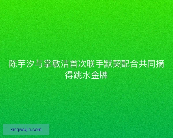 陈芋汐与掌敏洁首次联手默契配合共同摘得跳水金牌